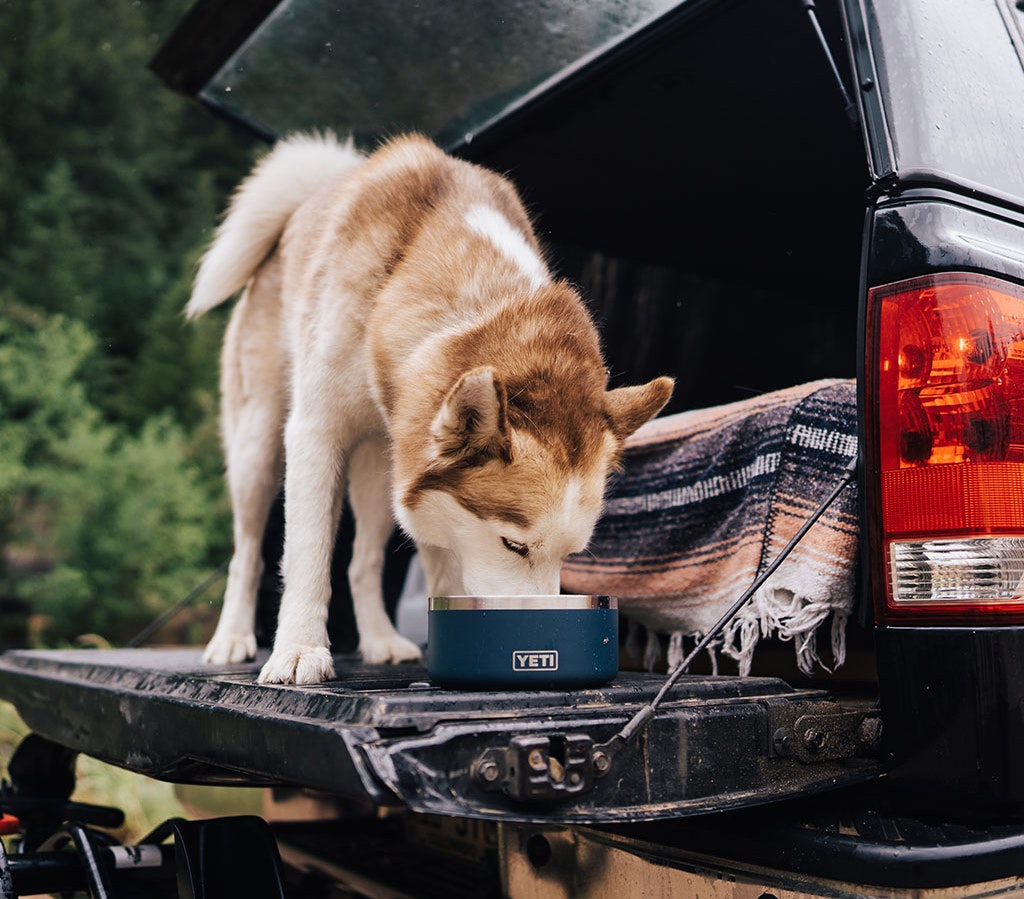 YETI Boomer™ 4 Dog Bowl – YETI EUROPE
