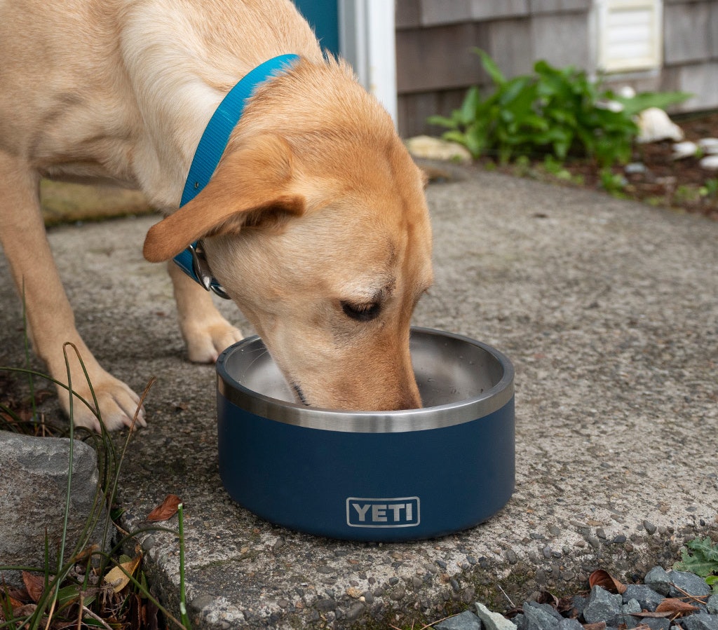 YETI Boomer™ 8 Dog Bowl – YETI EUROPE